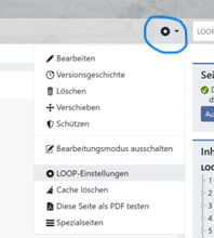 Loop einstellungen.png