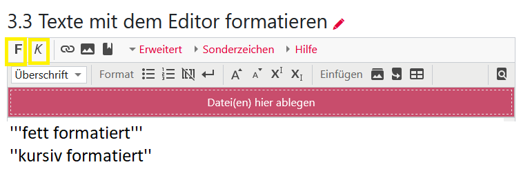 Editor erweitert fett kursiv.png